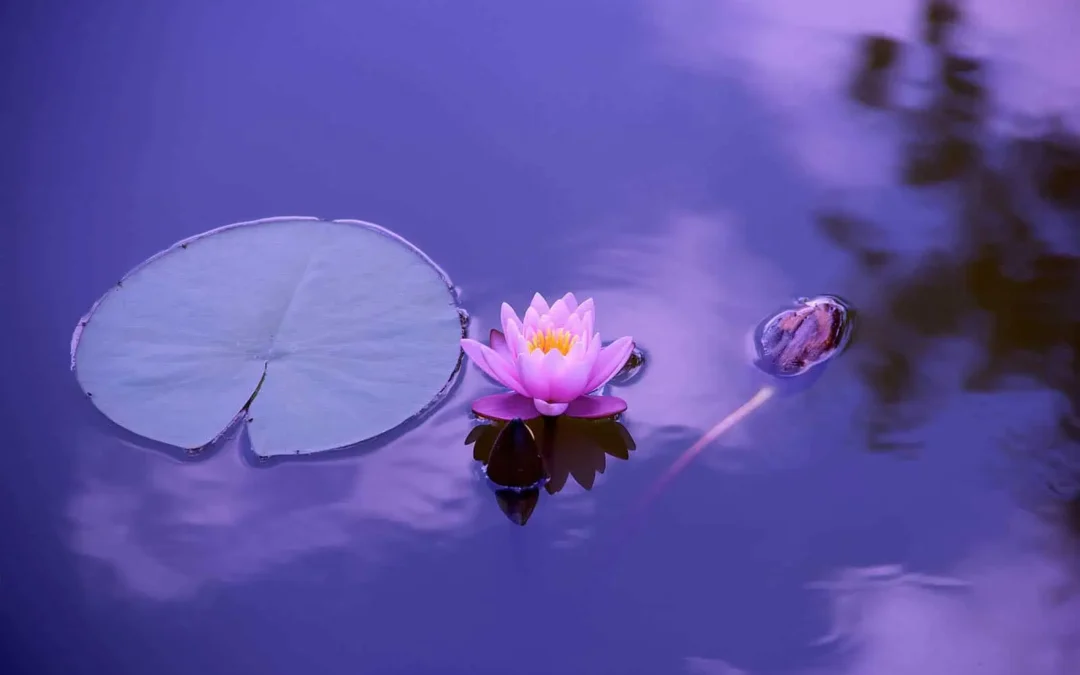 How Spa Therapy Boosts Mental Health: A Holistic Approach to Inner Balance